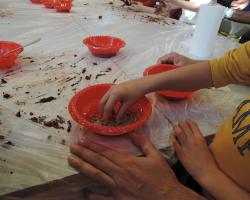 Creando Redes | Museo Nacional de Ciencias Naturales (MNCN)