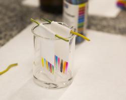 Universidad Complutense de Madrid (UCM) 