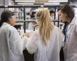 Universidad Complutense de Madrid (UCM) 