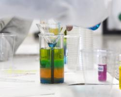 Universidad Complutense de Madrid (UCM) 