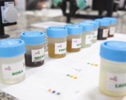 Universidad Complutense de Madrid (UCM) 