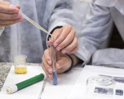 Universidad Complutense de Madrid (UCM) 