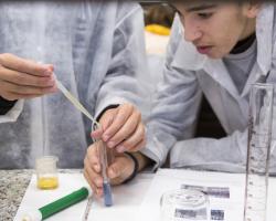 Universidad Complutense de Madrid (UCM) 