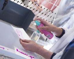 Universidad Complutense de Madrid (UCM) 