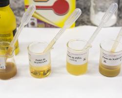 Universidad Complutense de Madrid (UCM) 