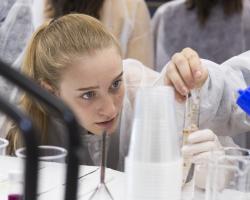 Universidad Complutense de Madrid (UCM) 