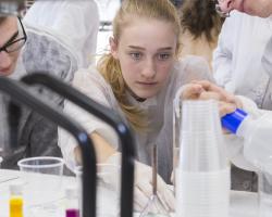 Universidad Complutense de Madrid (UCM) 