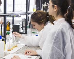 Universidad Complutense de Madrid (UCM) 