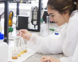 Universidad Complutense de Madrid (UCM) 