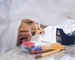 Universidad Complutense de Madrid (UCM) 