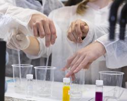 Universidad Complutense de Madrid (UCM) 