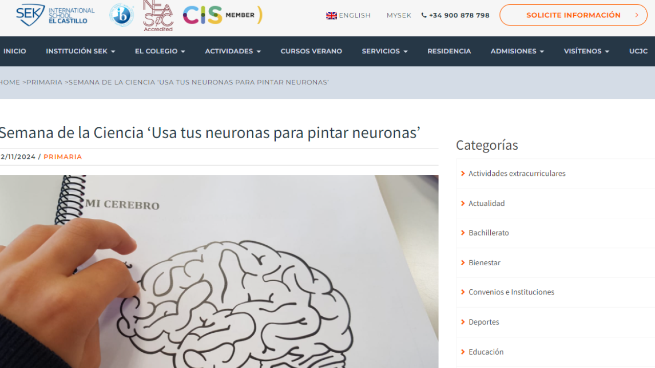 https://elcastillo.sek.es/blog/2024/11/12/semana-de-la-ciencia-usa-tus-neuronas-para-pintar-neuronas/