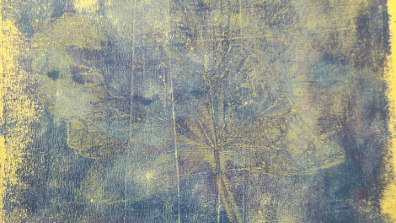 Proceso estampación con gelatina de hojas