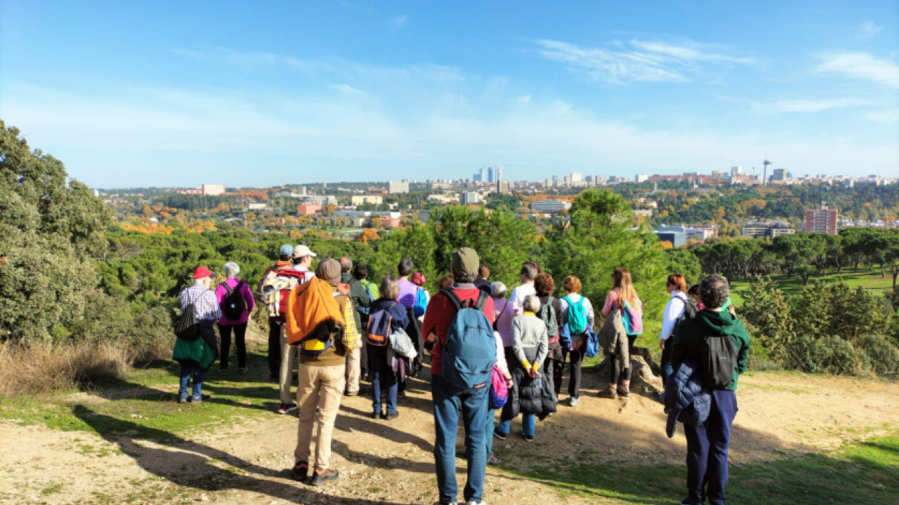 Mirador del Cerro Canteras