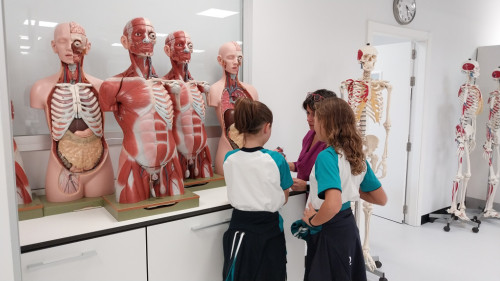 Niñas en laboratorio de anatomía humana
