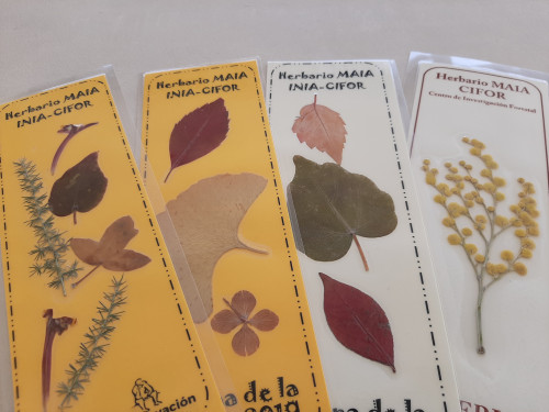 Marcapáginas hechos con hojas secas