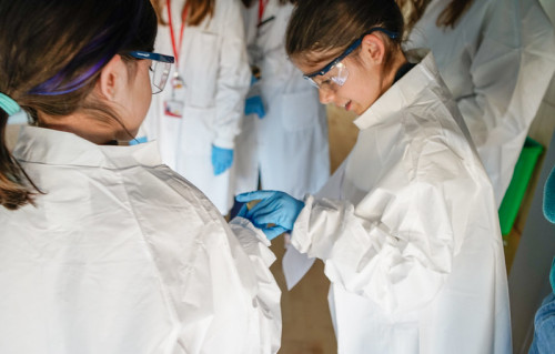 CNIC cómo funciona el corazón