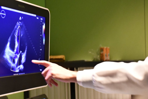 CNIC cómo funciona el corazón