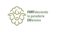 Proyecto FORTEX