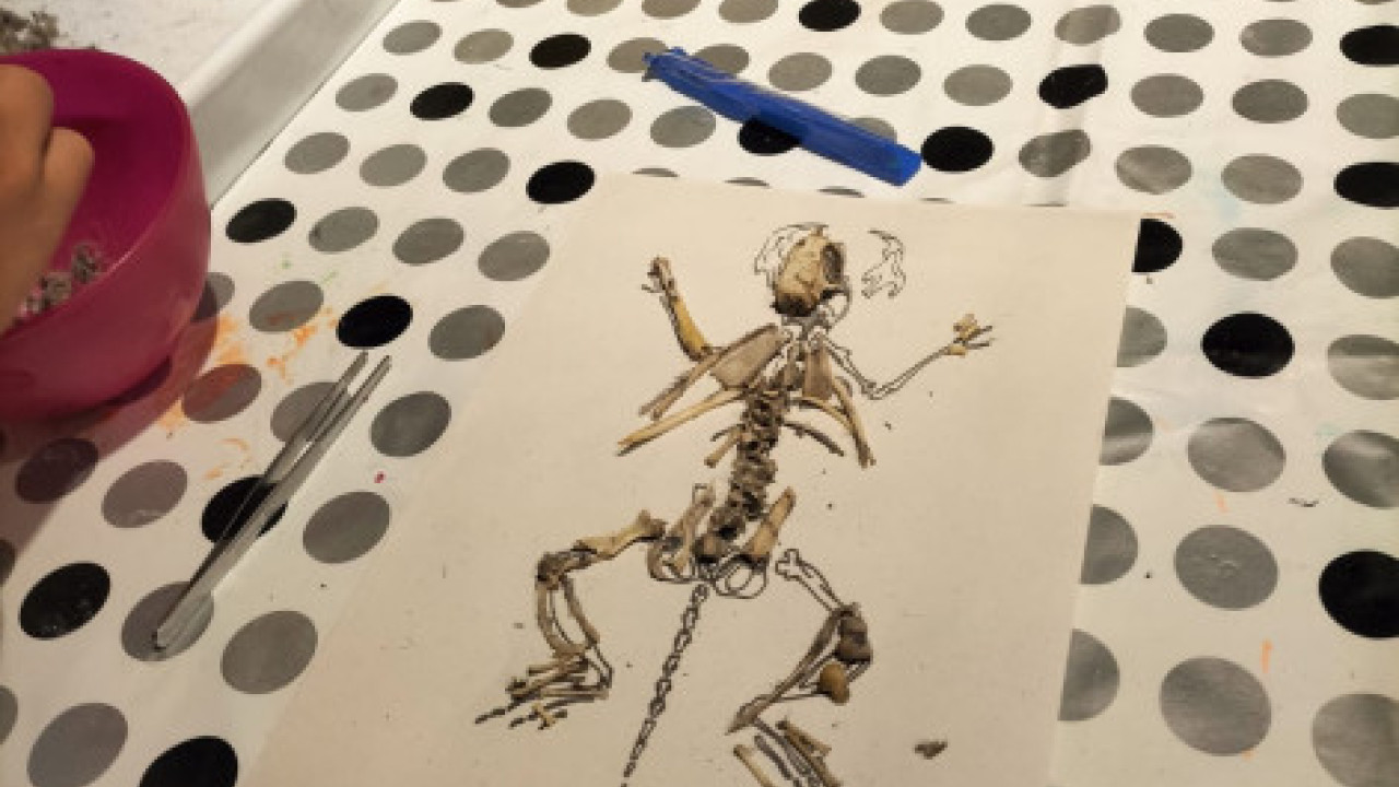 Taller Rastros y huellas