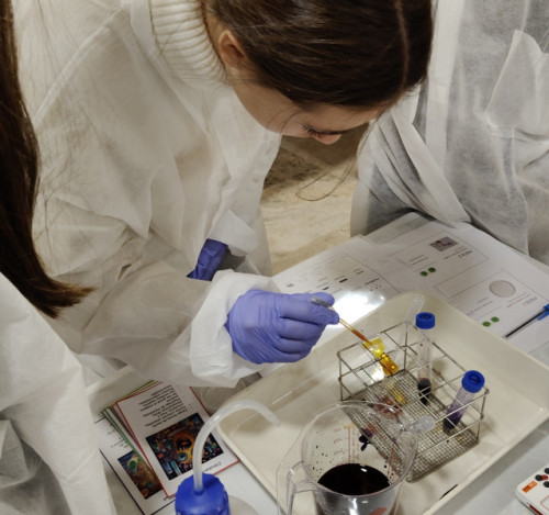 Explorando la Diversidad Microbiana del Agua: de la invisibilidad a conseguir su DNI