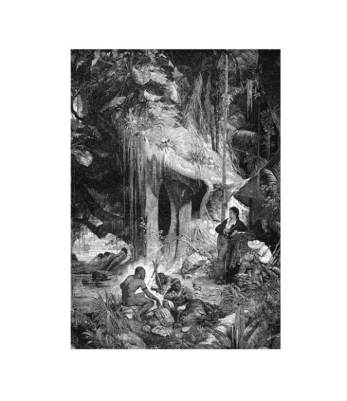 Imagen de Humboldt y Bonpland 