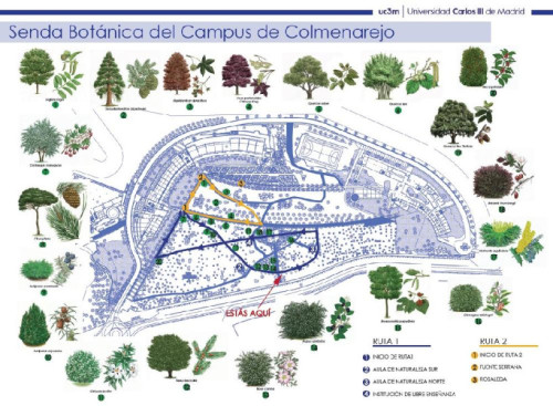 Senda botánica del Campus de Colmenarejo de la UC3M
