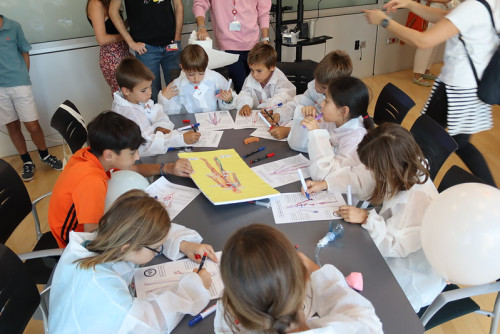 Actividad para menores de 6 a 12 años