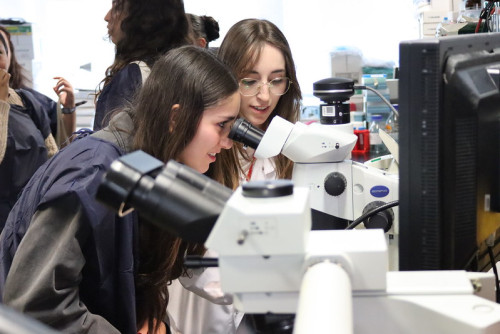 Actividad enfermedades raras