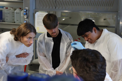 Actividad CNIC neurociencia