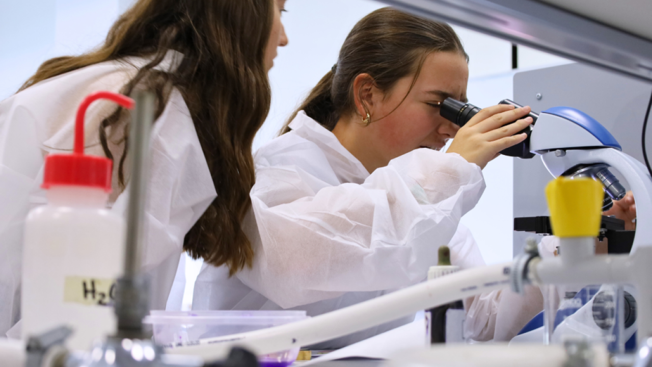 Alumnos del Colegio Liceo San Pablo de Leganés observarán bacterias en el yogur y descubrirán su papel en la fermentación y salud.