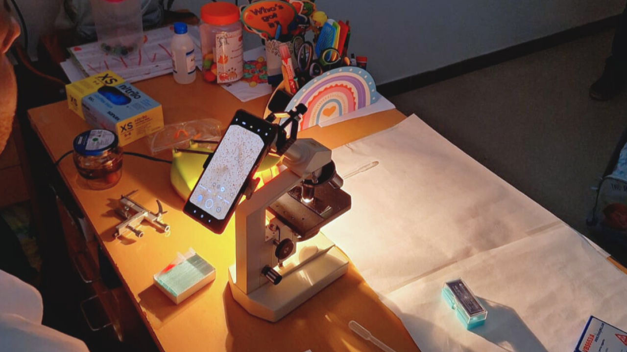 Alumnos de tercero de primaria del CEIP Arcipreste de Hita (El Espinar, Segovia) se acercarón de forma sencilla y dinámica al mundo de la investigación científica, mediante juegos y ejemplos de la vida cotidiana.