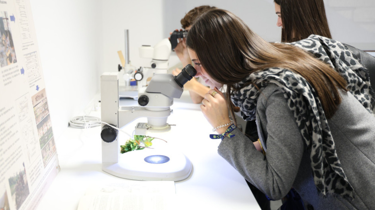 Microscopios laboratorio de Farmacia