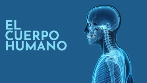 Imagen medio esqueleto