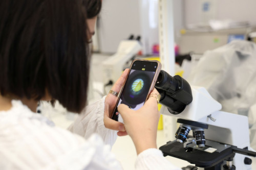 Joven mirando parásitos a través del microscopio