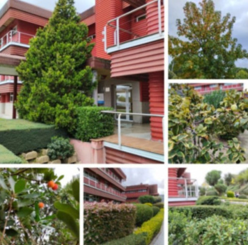 Plantas de Montepríncipe