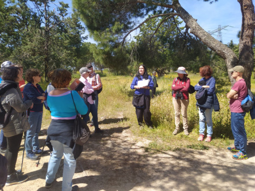 Arroyo Prado del Rey