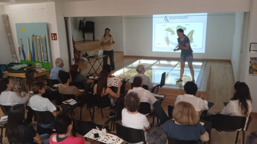 Taller aprende a identificar mariposas