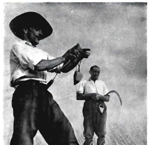 ¿Qué es un hombre de campo? Imaginarios de la masculinidad hegemónica en revistas agrarias