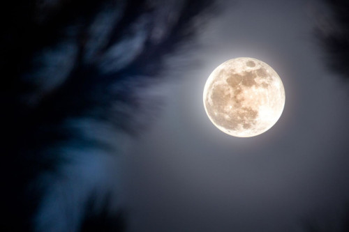 Luna llena