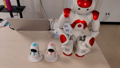 Robotic
