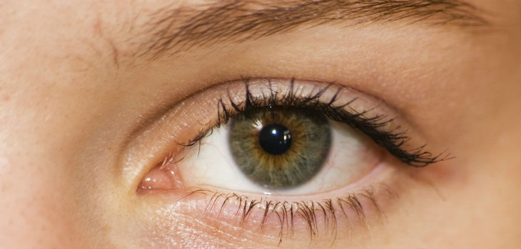 El ojo seco: una patología infravalorada que afecta al 30% de la población. / krystofos (PIXABAY)