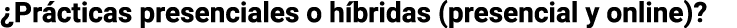  Prácticas presenciales o híbridas (presencial y online) 
