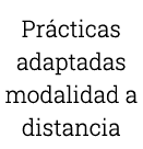 Prácticas adaptadas modalidad a distancia