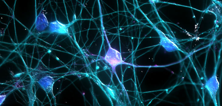 Neuronas. / UCI Research -Courtesy of OSA Student Chapter at UCI Art in Science Contest. Photo by: Ardy Rahman- (FLICKR)
