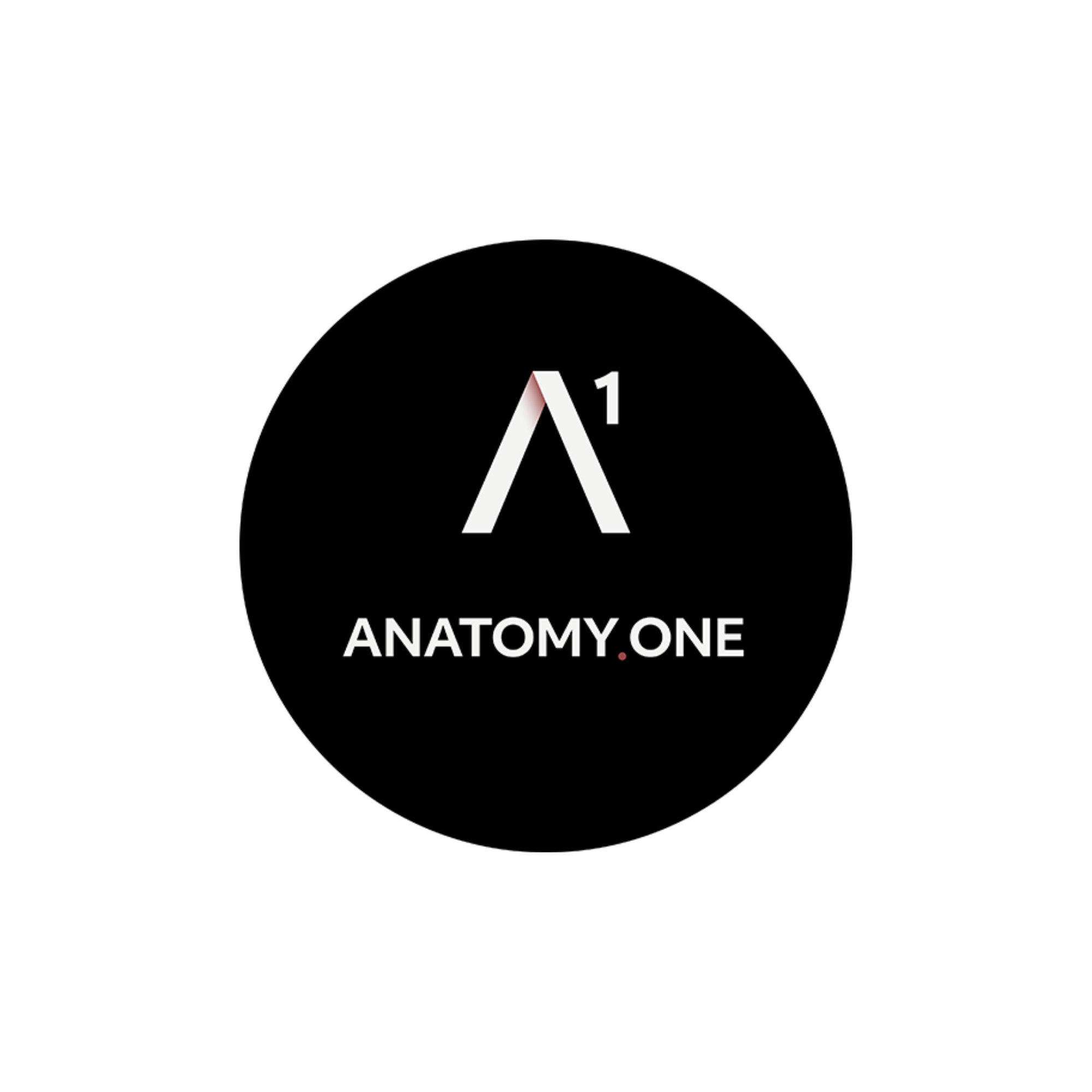 Anatomy One