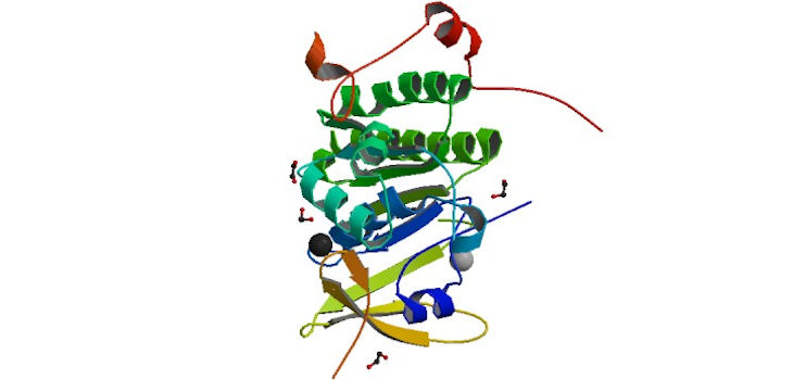 Proteína BRCA2. / ProteinBoxBot at English Wikipedia (WIKIMEDIA)