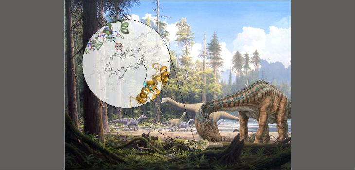 Recreación de un paisaje jurásico que muestra hongos degradadores de madera creciendo sobre el tronco de un árbol caído. / ( CSIC)