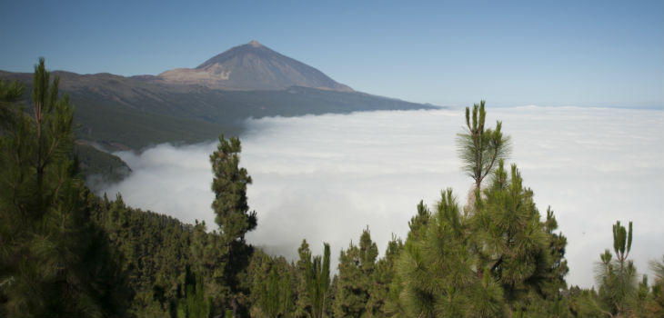 Parque Nacional del Teide, en la isla canaria de Tenerife. / María González / CSIC Comunicación