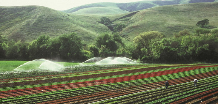 Poca carne, menos desperdicios y agricultura más sostenible